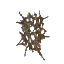 Scarak Spit Clump