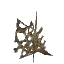 Small Scarak Spit Clump