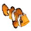 Clownfish