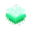 Green Jellyfish