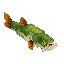 Pike