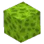Poison
