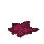 Dark Hide