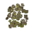 Barnacles