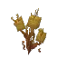 Sandthorn