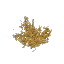 Arid Bramble