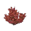 Red Winter Bush