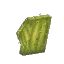 Small Flat Cactus