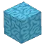 Cyan Coral Block