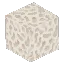 Dying Coral Block