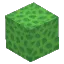 Green Coral Block