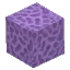 Purple Coral Block