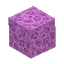 Violet Coral Block