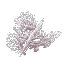 Dead Coral Bush