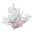 Bleached Coral Bush