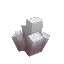 Dead Bracket Coral