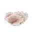 Dead Coral Rose