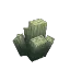 Gray Bracket Coral