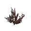 Winter Berry Bush