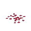Blood Rose Seeds