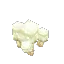 White Cap Mushroom