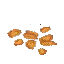Mature Pumpkin