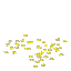 Storm Rush Seeds