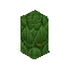 Jungle Fern Trunk