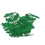 Big Wet Fern