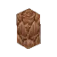 Wet Fern Trunk