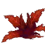 Bushy Orange Fern