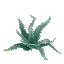 Salvage Plant Flower Common Blue2