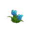 Salvage Plant Flower Common Cyan2