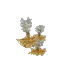 Salvage Plant Flower Common Grey2