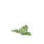 Salvage Plant Flower Common Lime