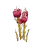 Salvage Plant Flower Common Poisoned