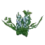 Salvage Plant Flower Flax Blue