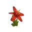 Salvage Plant Flower Orchid Red