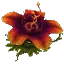 Salvage Plant Flower Tall Red
