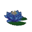 Salvage Plant Flower Water Blue