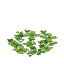 Salvage Plant Flower Water Duckweed