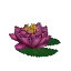 Salvage Plant Flower Water Purple