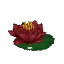 Salvage Plant Flower Water Red