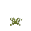 Short Withered Grassplant