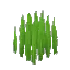 Tall Grass