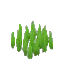 Sharp Grass