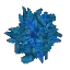 Azure Leaves