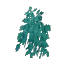 Camphor Leaves