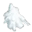 Snowy Fir Leaves
