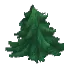Fir Leaves - Tip